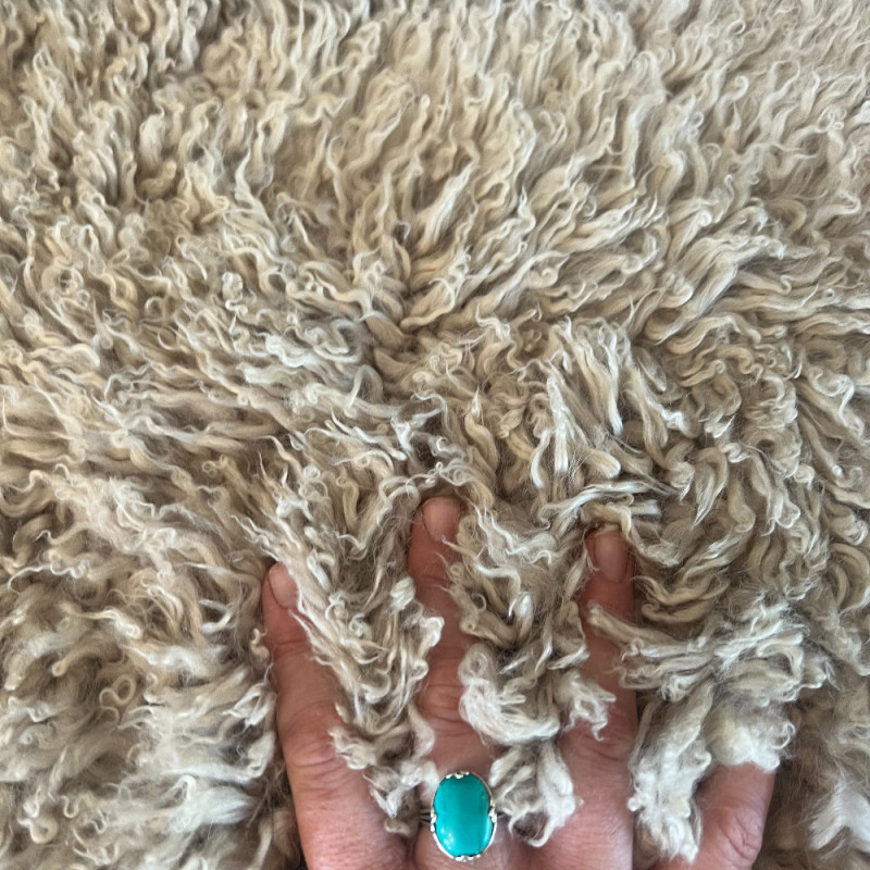 Medium Curly Oyster Sheepskin Rug