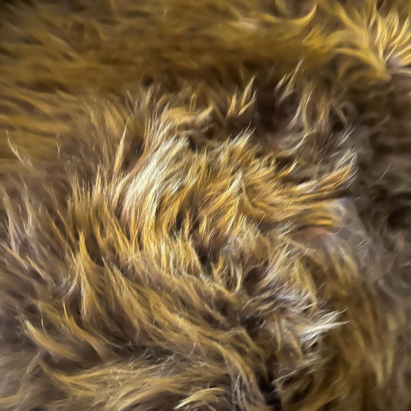 Medium Sheepskin Rug UK | Natural | Golden Chestnut | Howdy Hides