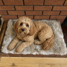 Medium Oyster Sheepskin Pet Bed UK | Memory Foam | 70x45cm | Howdy Hides