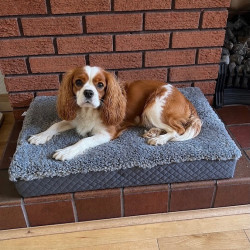 Medium Grey Sheepskin Pet Bed UK | Memory Foam | 70x45cm | Howdy Hides