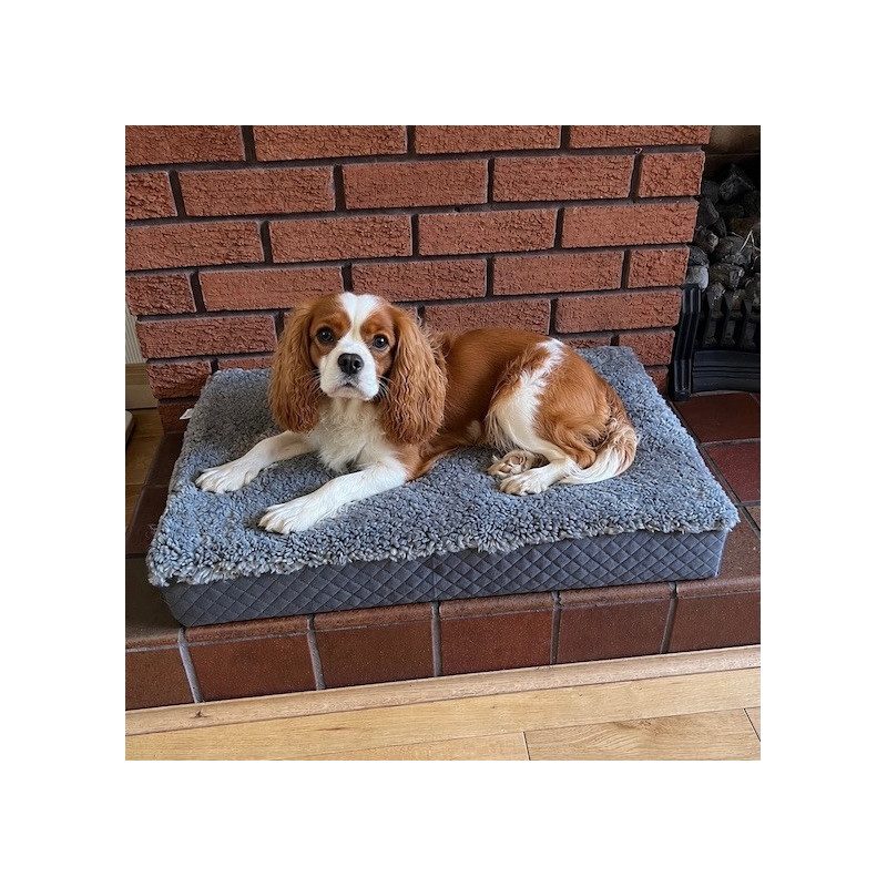 Medium Grey Sheepskin Pet Bed UK | Memory Foam | 70x45cm | Howdy Hides