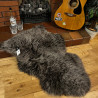 Medium Sheepskin Rug UK | Natural | Chocolate Light Tip | Howdy Hides
