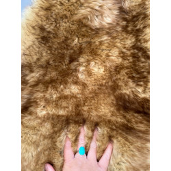 Medium Sheepskin Rug UK | Natural | Coyote | Howdy Hides